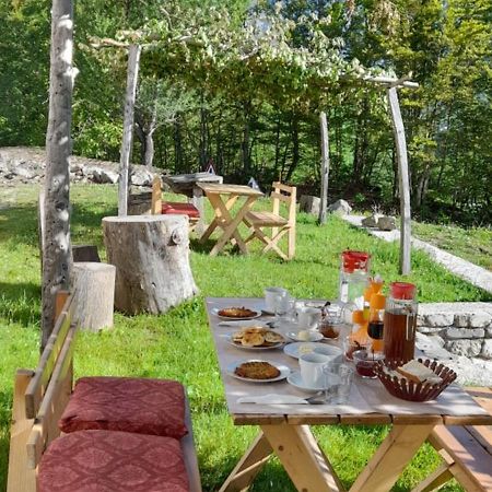 Guest House Panorama Теті Екстер'єр фото