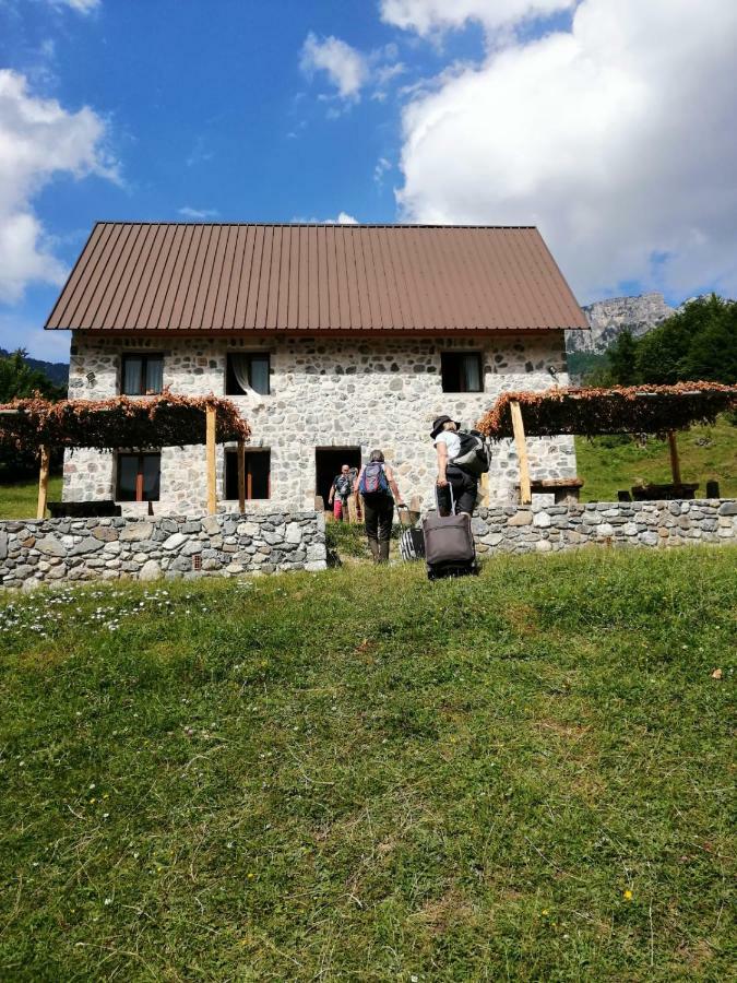 Guest House Panorama Теті Екстер'єр фото