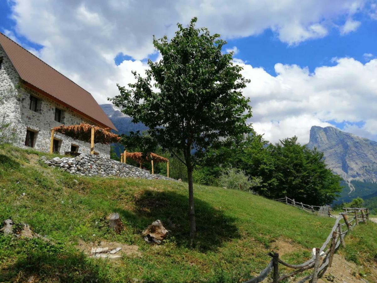Guest House Panorama Теті Екстер'єр фото